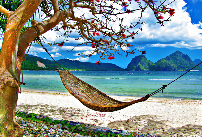 summer, grass, Exotic, clouds, landscape, sky, nature, hammock, ocean, sea, tropical, beach