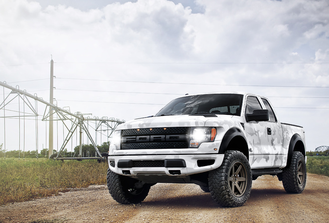 , , svt, Ford, , f-150, white, raptor