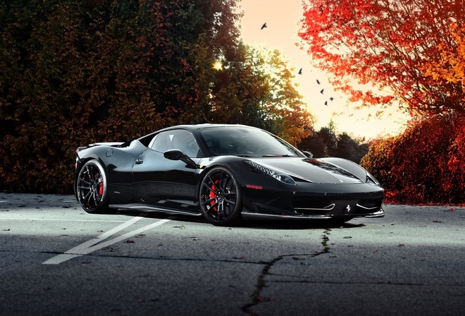 ferrari, 458 italia, black, autumn, trees, sky, birds, , , , , , , 