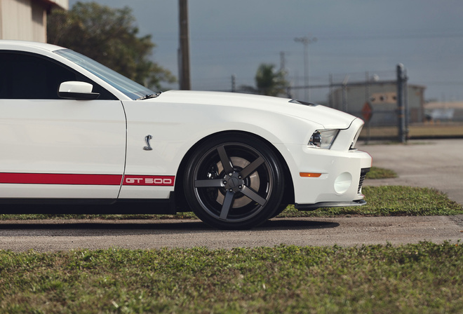 gt500, shelby, , , muscle car, ,  , mustang, Ford