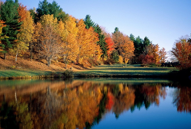 Lake, Forest, Colors