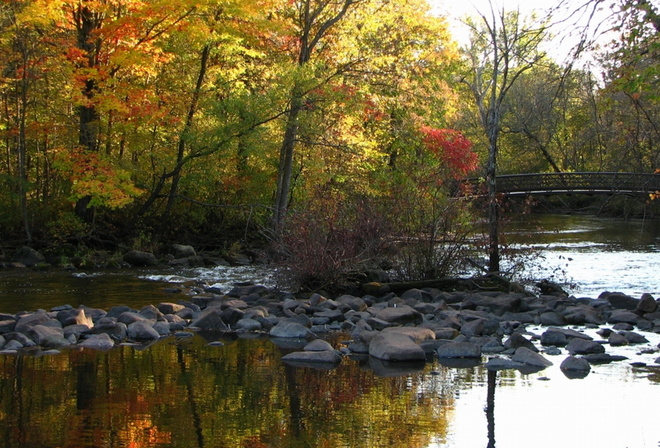 rocks, water, forest, bridge