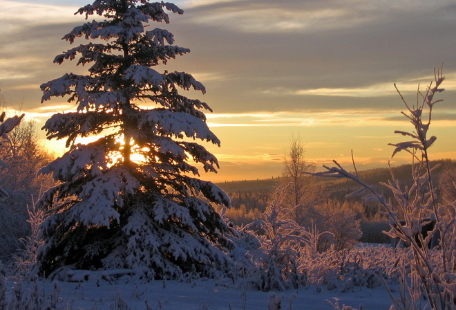 Snow, Trees, Sunset, clouds