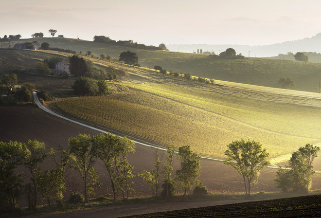 Raggi del mattino, landscape, italiano, natura