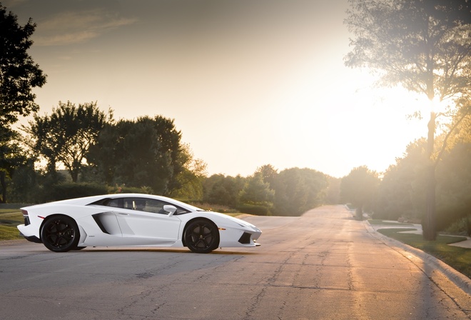 lp700-4, black, wheels, , Lamborghini, , aventador, white