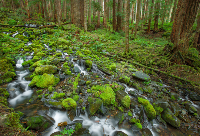 , , , , , Olympic national park