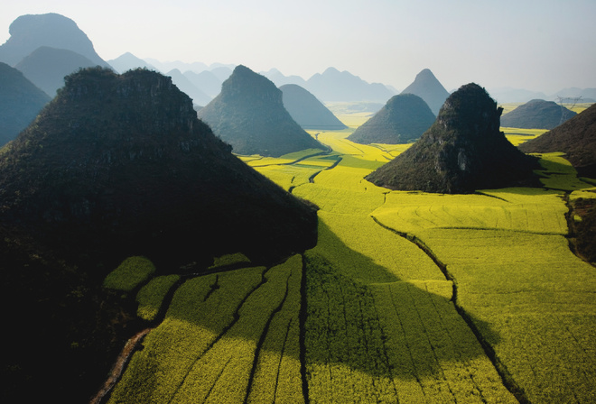 sky, mountain, field, apple, Green, wide