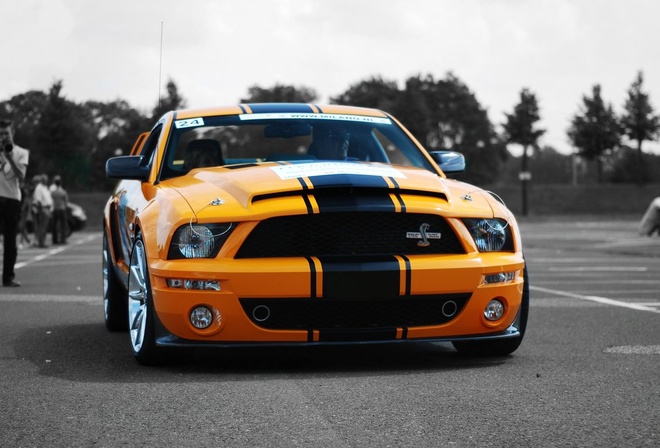 , Shelby, Mustang, Super Cars, Ford