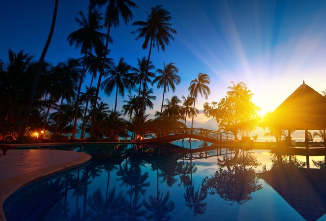 trees, , nature, , paradise, bridge, seawater, palms, Sunrise, thailand