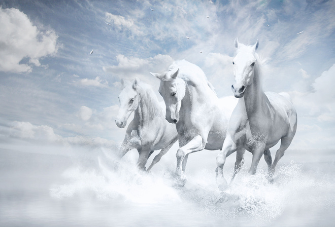 White Horses,  , 