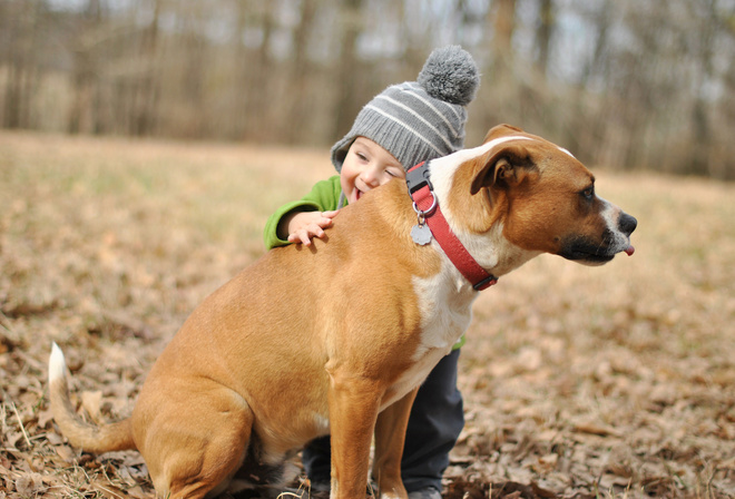 , , , , , , baby, boy, dog, friend, mood, joy, hugs, , , , , , , HD wallpapers, background, wallpaper, widescreen, fullscreen