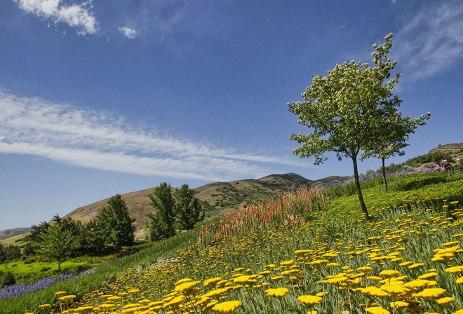 Red Butte Garden, Salt Lake City, Utah,  , , , 