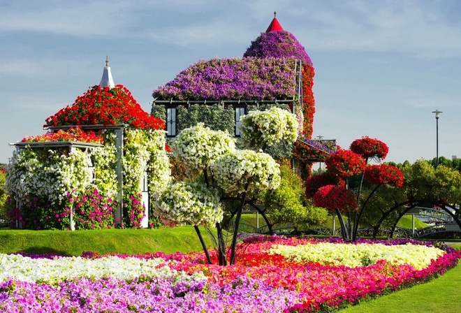   , , , Miracle garden, Dubai, , 