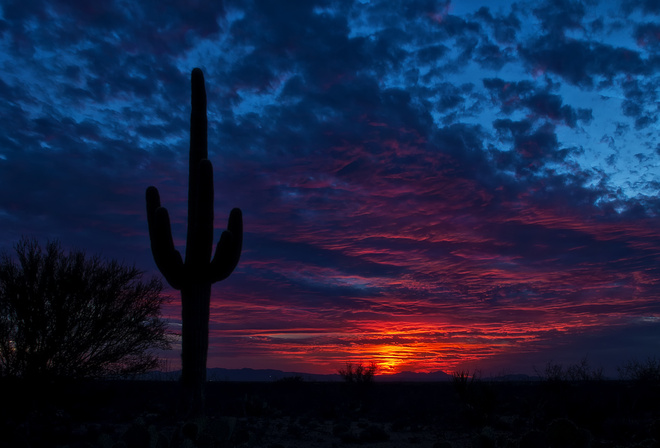 Tucson, Arizona, , , 