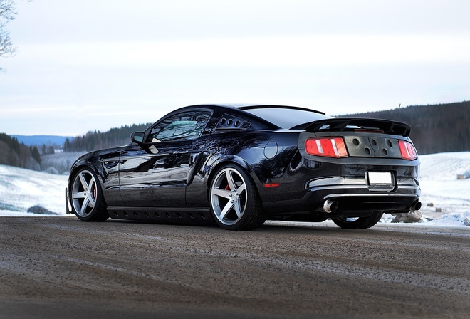 , mustang, , , 