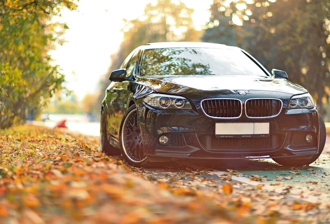 BMW, 550, Drive, F10, , , , 