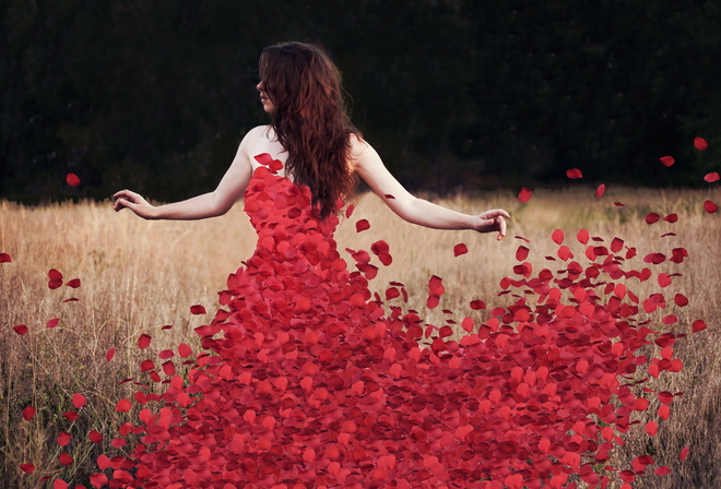 petals, flowers, rosedress