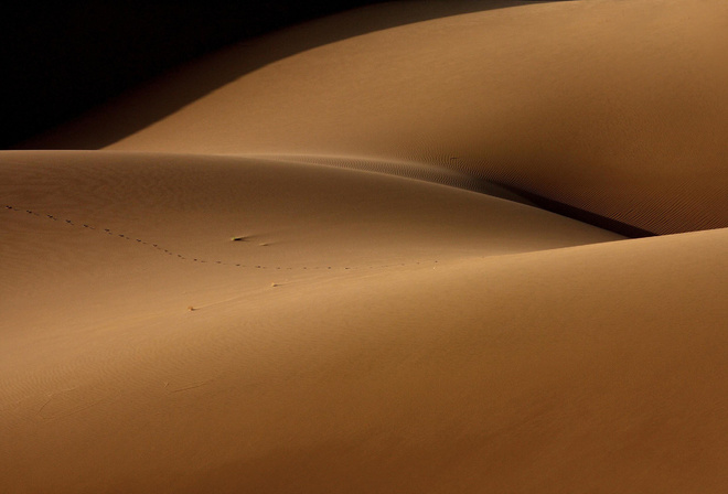 Desert and the human torso, , 