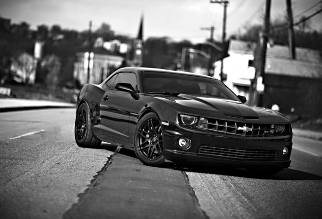 , chevrolet camaro ss, , ,   , , , , , 