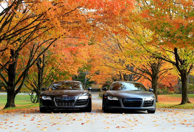 , , , , audi r8 v10