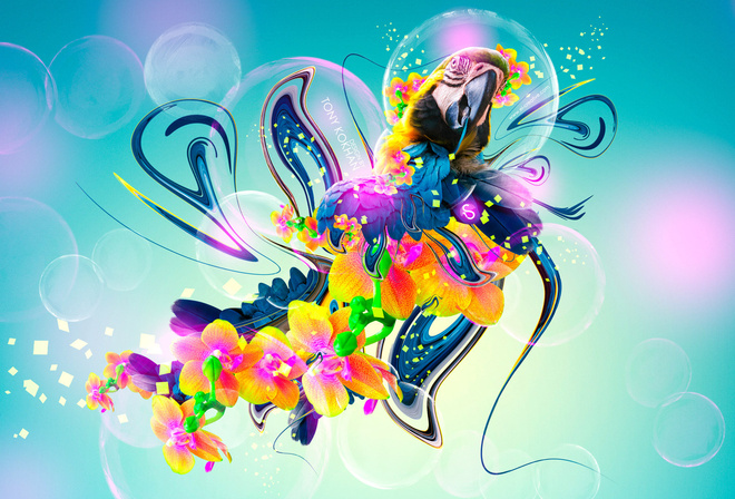 Tony Kokhan, Parrot, Flowers, Fantasy, Multicolors, Neon, Plastic, Fly, Bird, el Creative, Photoshop, HD Wallpapers,  , , , , , , , , , , , 2014