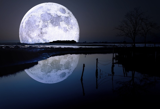 moon, river, reflexion, tree, night, star, sky