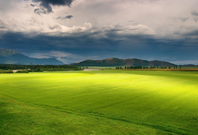 green, field, grass, sky, trees