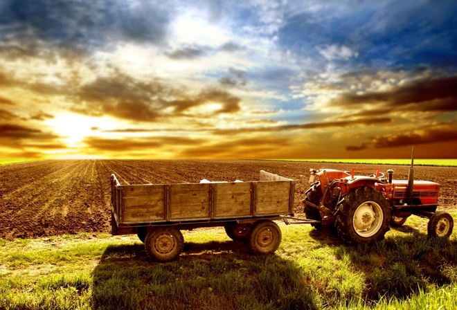 tractor, fields, sunrise, sky, sun