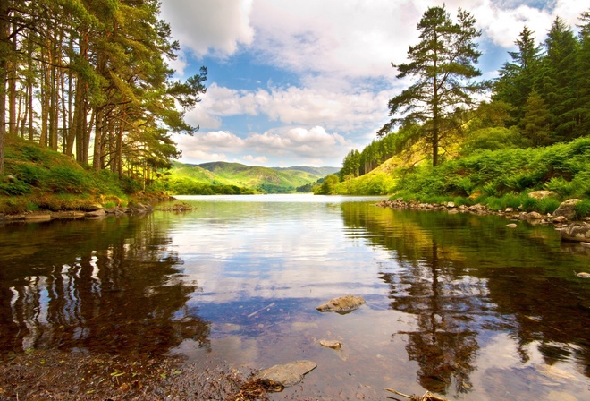 river, tree, water, grass, clouds, sky, green