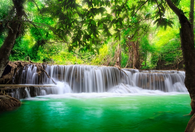 Картинки джунгли с водопадом