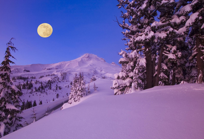 winter, mountain, snow, trees, road, sun, sky, blue