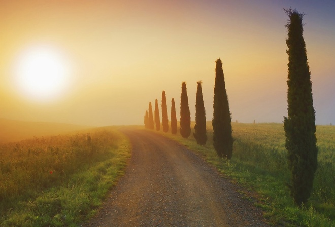 sunrise, fields, river, grass, sun, sky, morning