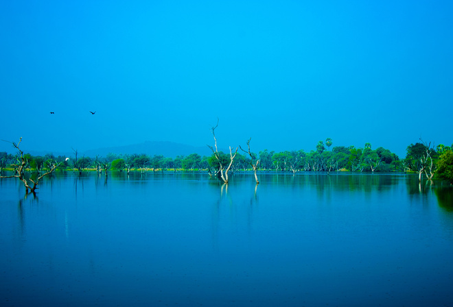 Nature, Blue, Sky, Trees, Water