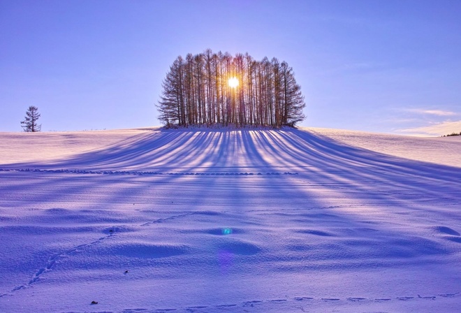 winter, mountain, snow, trees, road, sun, sky, blue