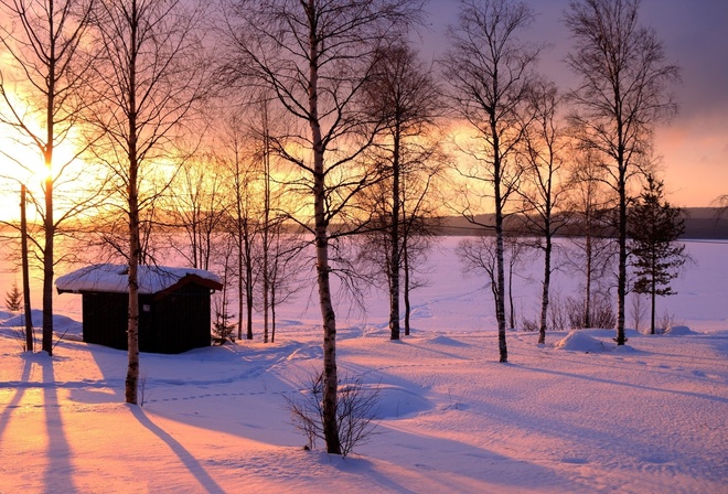 winter, trees, snow, path, mountain, moon, cabin