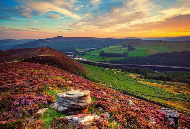 hills, fields, colors, trees, grass, sky