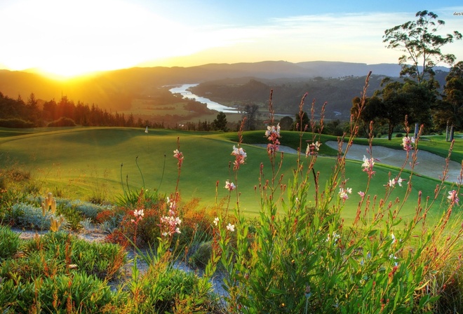 fields, river, golf, tree, grass