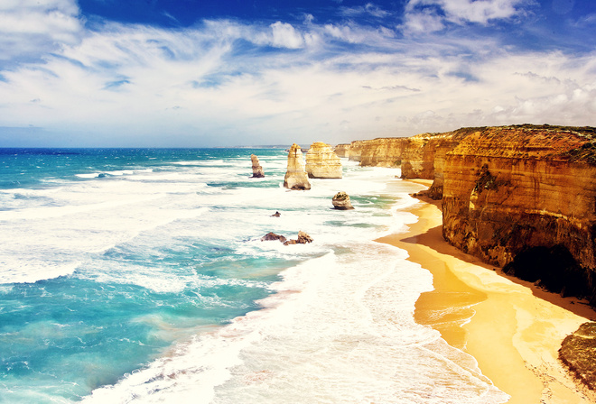 ocean, beach, tree, water, sky, sand