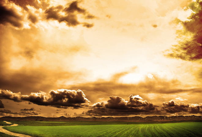 field, tree, grass, path, sky, clouds