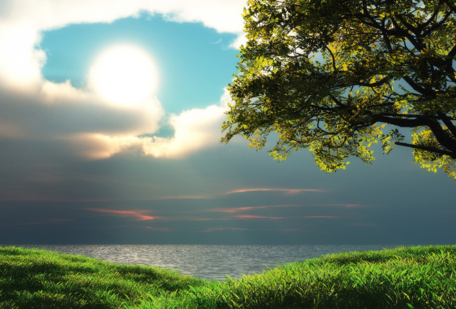 field, tree, grass, path, sky, clouds, sun