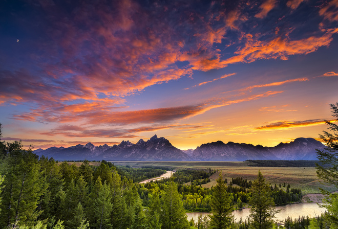 river, delta, mountain, tree