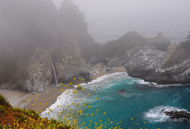 ocean, beach, tree, water, sky, waterfall