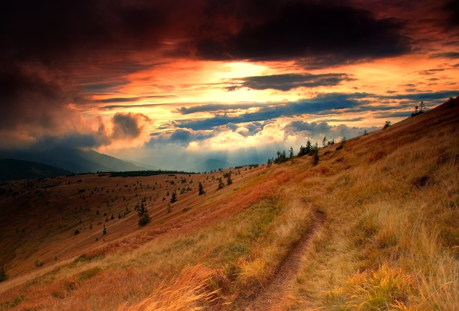 mountain, gree, grass, sky, road, tree, sunlight