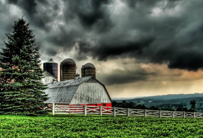 fields, grass, tree, hills, farm