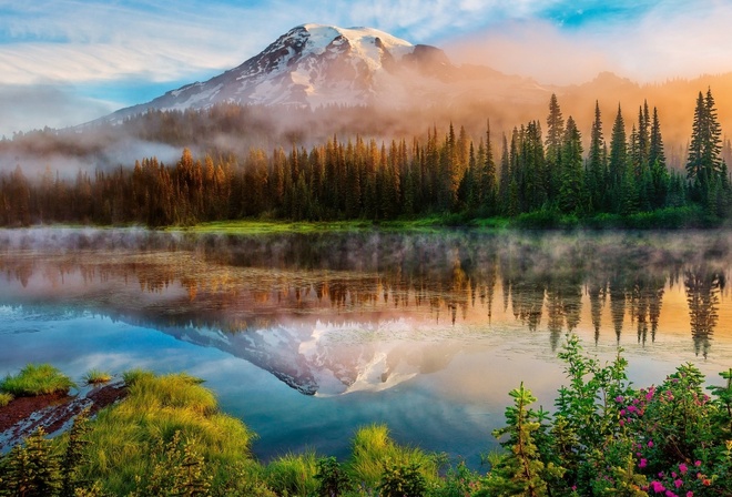 lake, water, tree, grass, sky