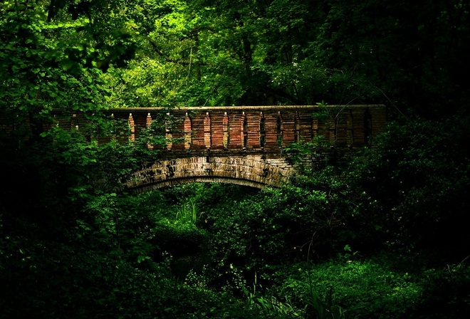 bridge, mountain, rock, tree, water