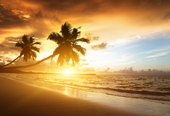 Caribbean, Ocean, sea, sunrise, sunlight, palms, clouds, sky, beach, shore, nature, landscape