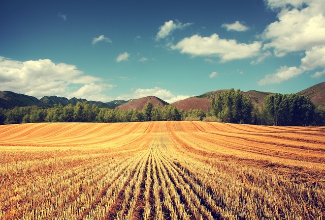 hills, mountain, grass, tree, sky