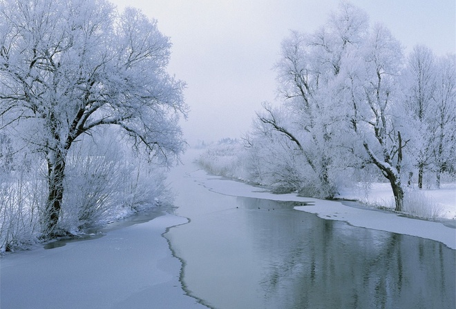 winter, snow, tree, ice, river