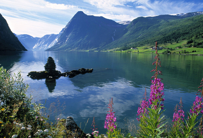 flower, mountain, tree, river, water, reflection